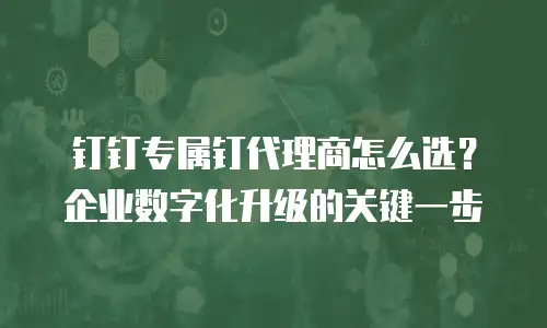 钉钉专属钉代理商怎么选？企业数字化升级的关键一步