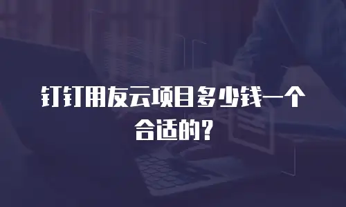 钉钉用友云项目多少钱一个合适的？