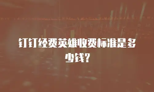 钉钉经费英雄收费标准是多少钱？