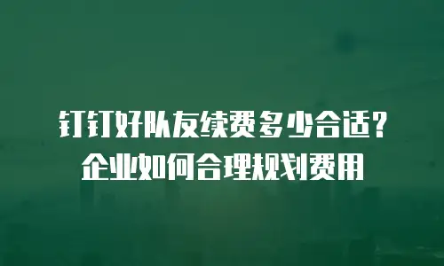 钉钉好队友续费多少合适？企业如何合理规划费用