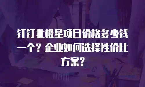 钉钉北极星项目价格多少钱一个？企业如何选择性价比方案？
