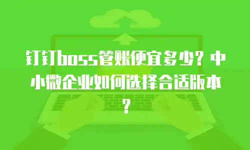 钉钉boss管账便宜多少？中小微企业如何选择合适版本？