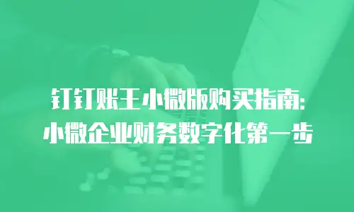 钉钉账王小微版购买指南：小微企业财务数字化第一步