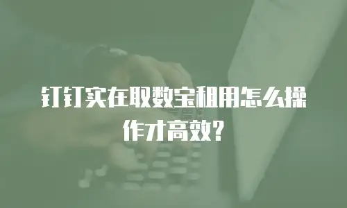 钉钉实在取数宝租用怎么操作才高效？