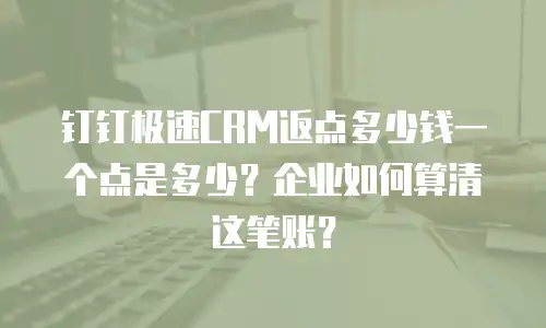 钉钉极速CRM返点多少钱一个点是多少？企业如何算清这笔账？