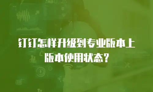 钉钉怎样升级到专业版本上版本使用状态？