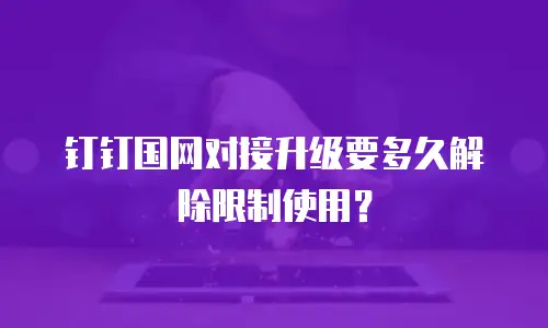 钉钉国网对接升级要多久解除限制使用？