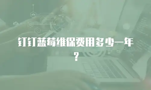 钉钉蓝莓维保费用多少一年？