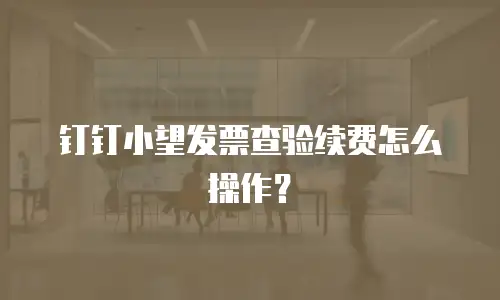 钉钉小望发票查验续费怎么操作？