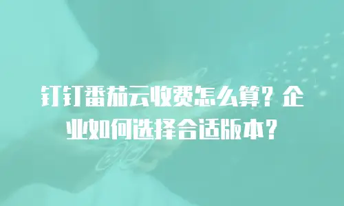 钉钉番茄云收费怎么算？企业如何选择合适版本？