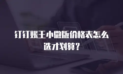 钉钉账王小微版价格表怎么选才划算？