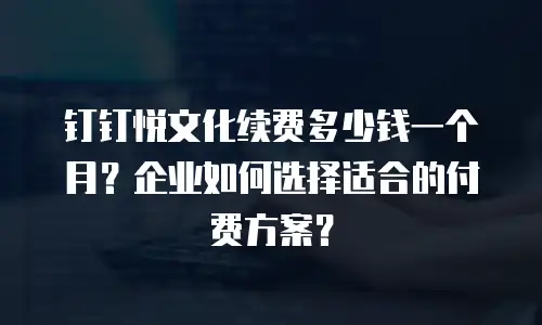 钉钉悦文化续费多少钱一个月？企业如何选择适合的付费方案？