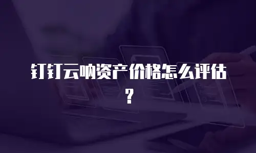 钉钉云呐资产价格怎么评估？