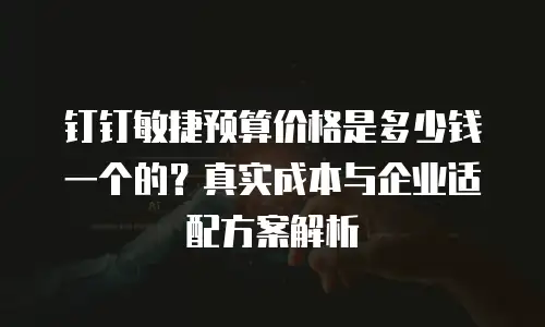 钉钉敏捷预算价格是多少钱一个的？真实成本与企业适配方案解析
