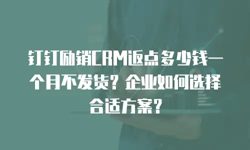 钉钉励销CRM返点多少钱一个月不发货？企业如何选择合适方案？