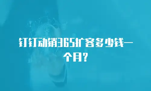 钉钉动销365扩容多少钱一个月？