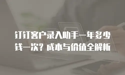 钉钉客户录入助手一年多少钱一次？成本与价值全解析