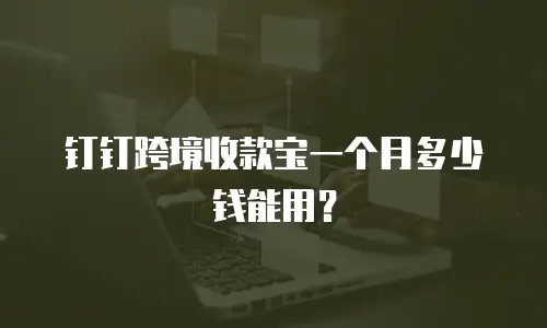 钉钉跨境收款宝一个月多少钱能用？