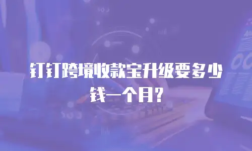 钉钉跨境收款宝升级要多少钱一个月？