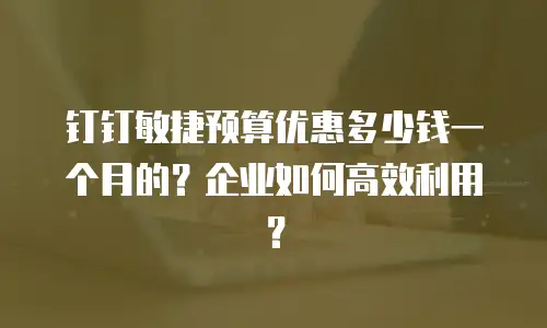 钉钉敏捷预算优惠多少钱一个月的？企业如何高效利用？