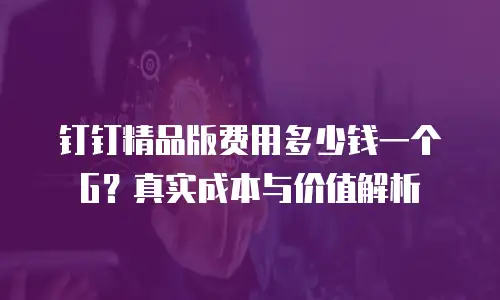 钉钉精品版费用多少钱一个G？真实成本与价值解析