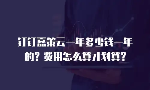 钉钉嘉策云一年多少钱一年的？费用怎么算才划算？