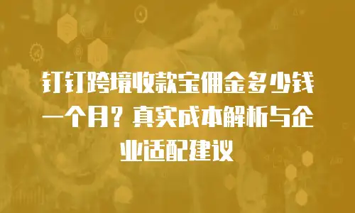 钉钉跨境收款宝佣金多少钱一个月？真实成本解析与企业适配建议