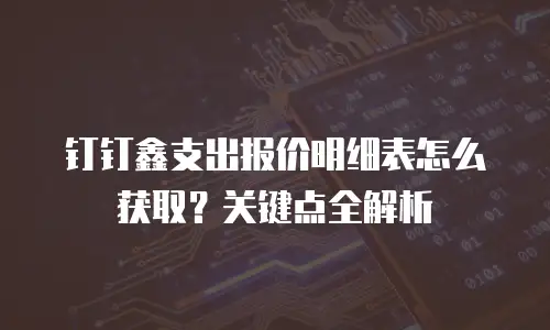 钉钉鑫支出报价明细表怎么获取？关键点全解析