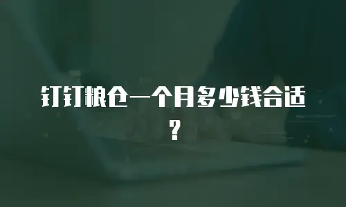 钉钉粮仓一个月多少钱合适？