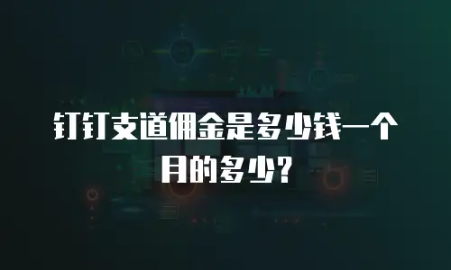 钉钉支道佣金是多少钱一个月的多少？