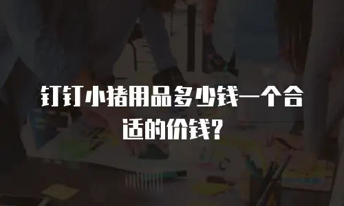 钉钉小猪用品多少钱一个合适的价钱？