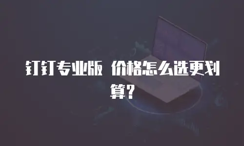 钉钉专业版 价格怎么选更划算？