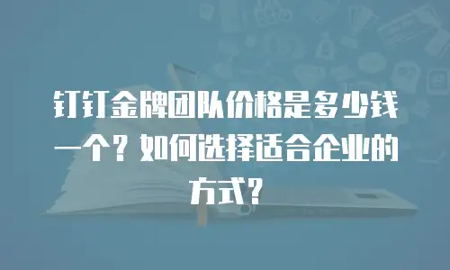 钉钉金牌团队价格是多少钱一个？如何选择适合企业的方式？