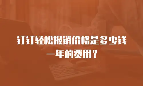 钉钉轻松报销价格是多少钱一年的费用？