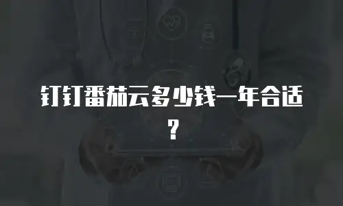 钉钉番茄云多少钱一年合适？