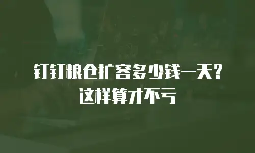 钉钉粮仓扩容多少钱一天？这样算才不亏