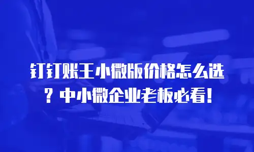 钉钉账王小微版价格怎么选？中小微企业老板必看！