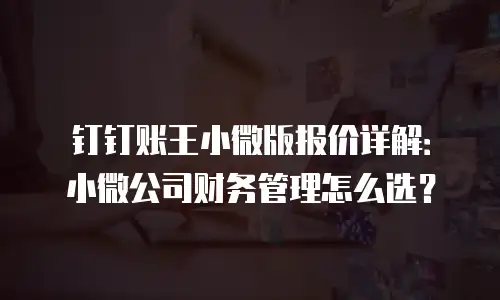 钉钉账王小微版报价详解：小微公司财务管理怎么选？