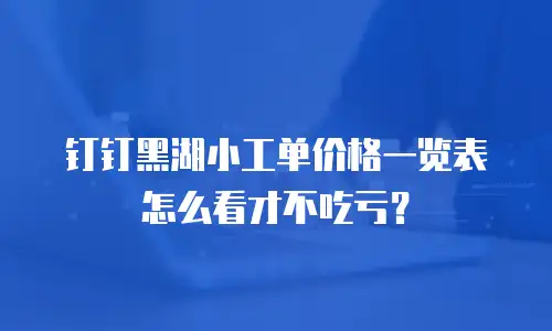 钉钉黑湖小工单价格一览表怎么看才不吃亏？