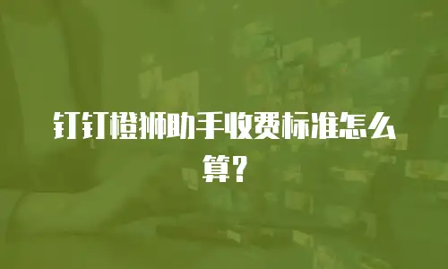 钉钉橙狮助手收费标准怎么算？