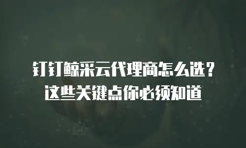 钉钉鲸采云代理商怎么选？这些关键点你必须知道