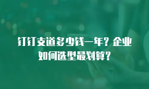 钉钉支道多少钱一年？企业如何选型最划算？