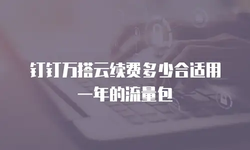 钉钉万搭云续费多少合适用一年的流量包