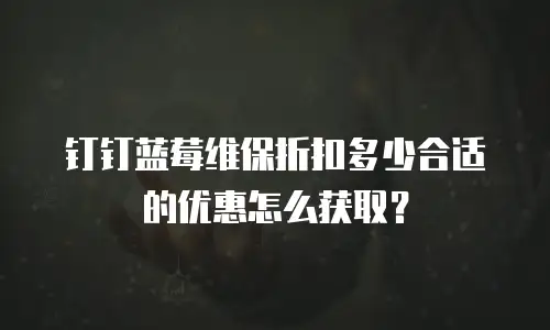 钉钉蓝莓维保折扣多少合适的优惠怎么获取？