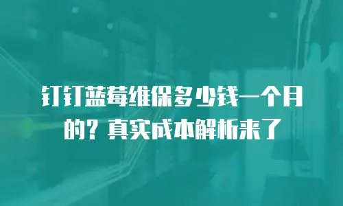 钉钉蓝莓维保多少钱一个月的？真实成本解析来了