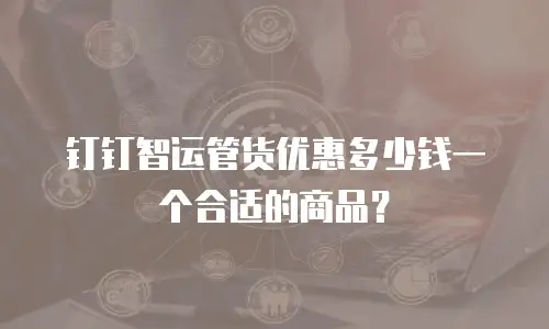 钉钉智运管货优惠多少钱一个合适的商品？