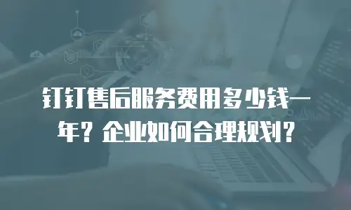 钉钉售后服务费用多少钱一年？企业如何合理规划？