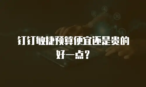 钉钉敏捷预算便宜还是贵的好一点？