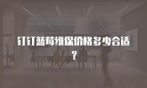 钉钉蓝莓维保价格多少合适？
