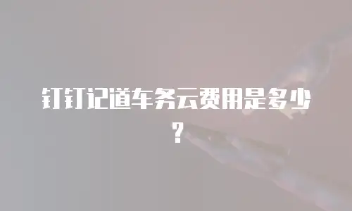 钉钉记道车务云费用是多少？